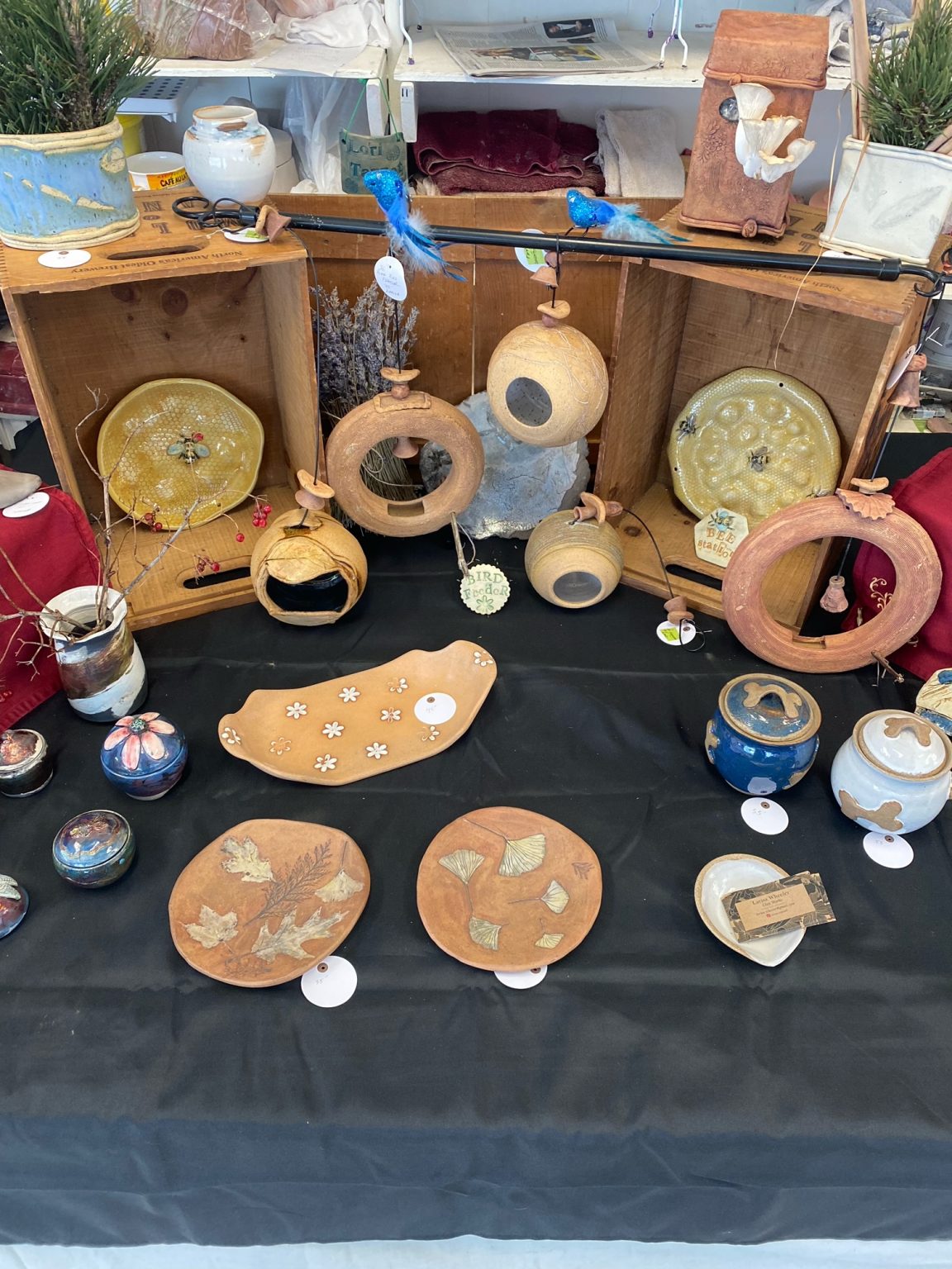 Home Almonte Potters Guild